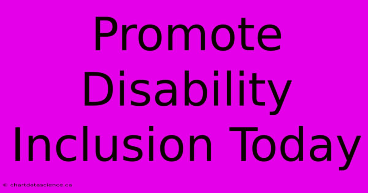 Promote Disability Inclusion Today