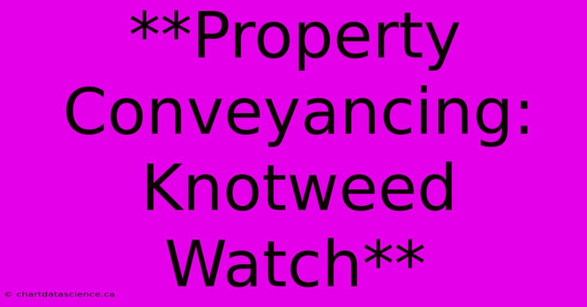 **Property Conveyancing: Knotweed Watch**