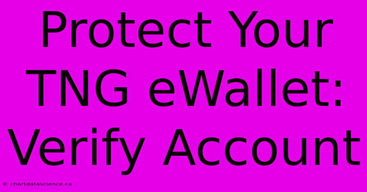 Protect Your TNG EWallet: Verify Account