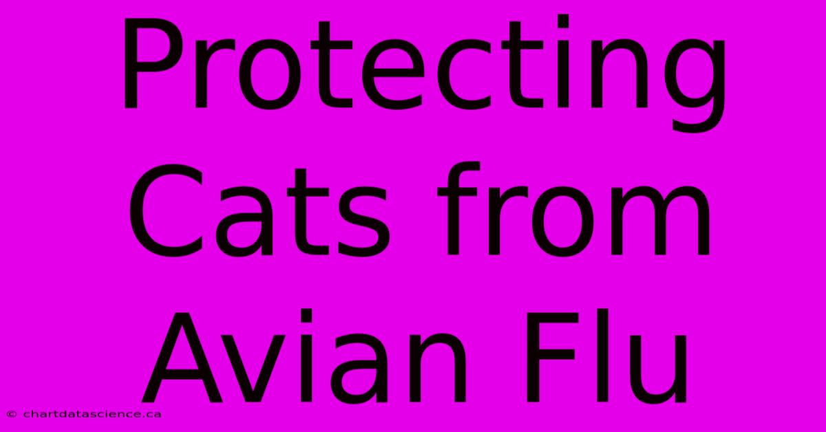 Protecting Cats From Avian Flu