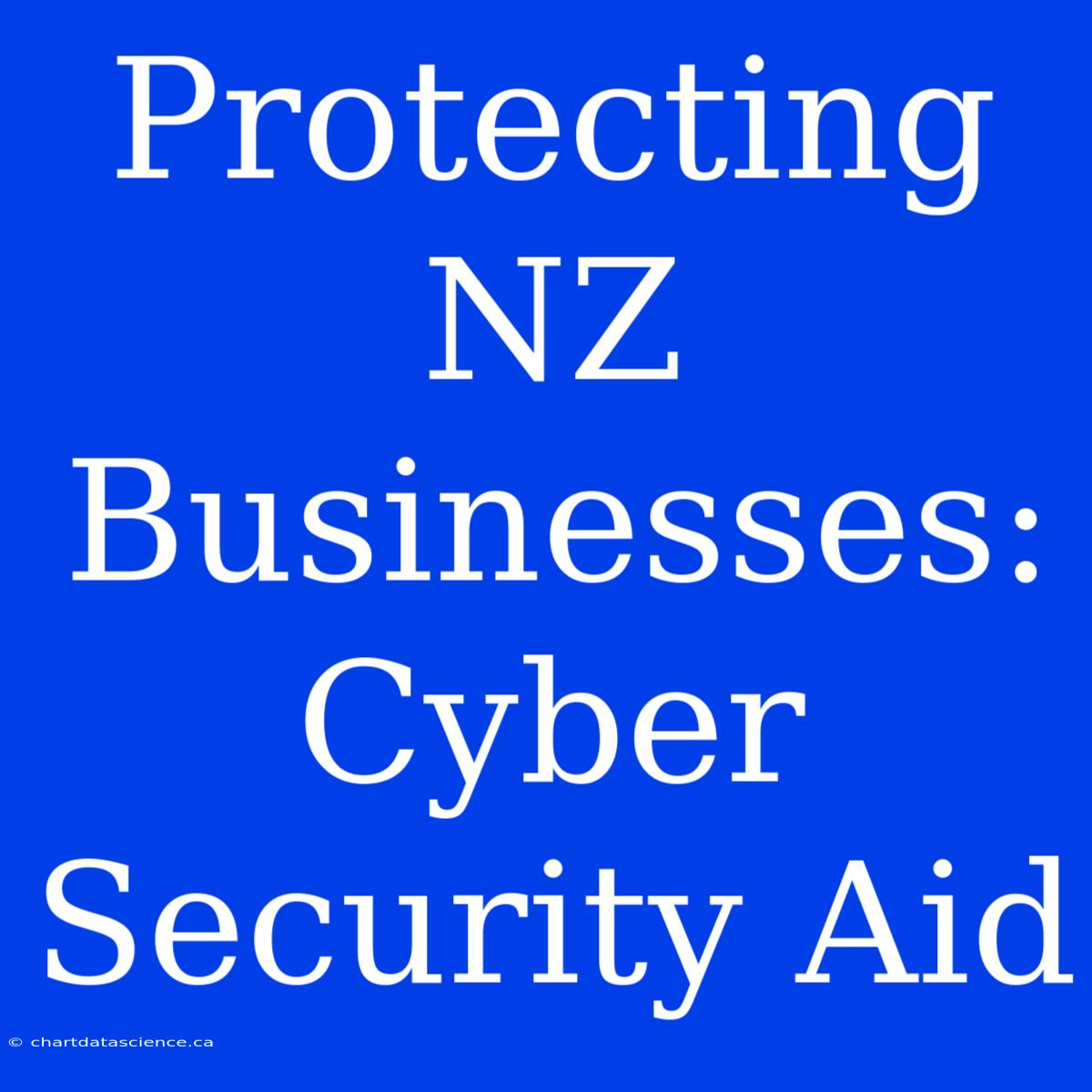 Protecting NZ Businesses: Cyber Security Aid