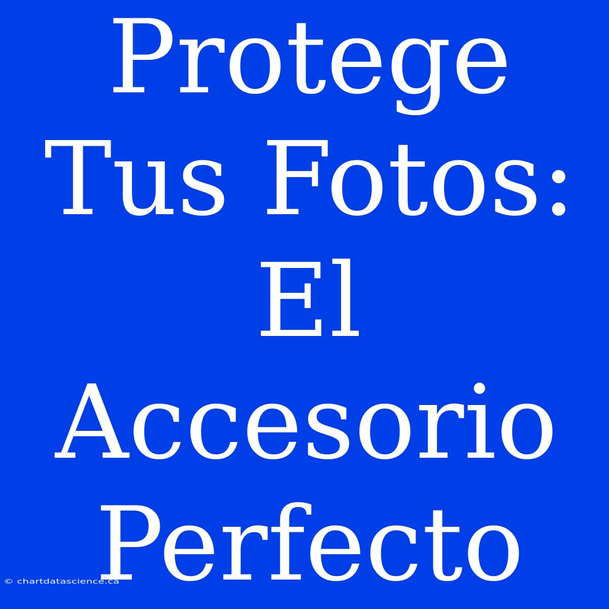 Protege Tus Fotos: El Accesorio Perfecto