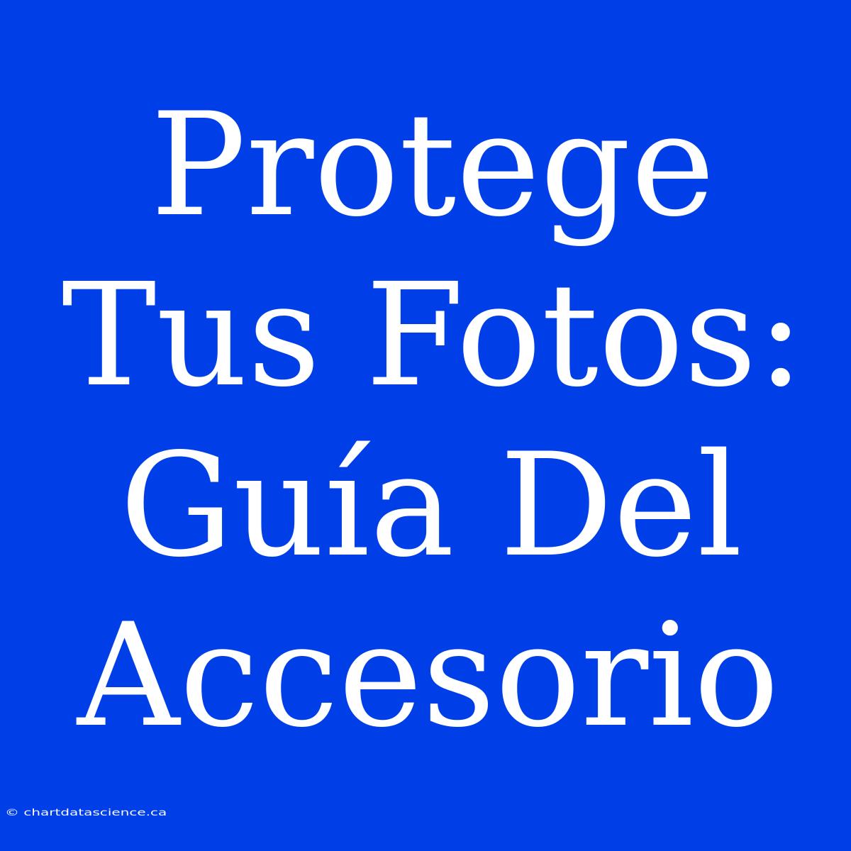 Protege Tus Fotos: Guía Del Accesorio