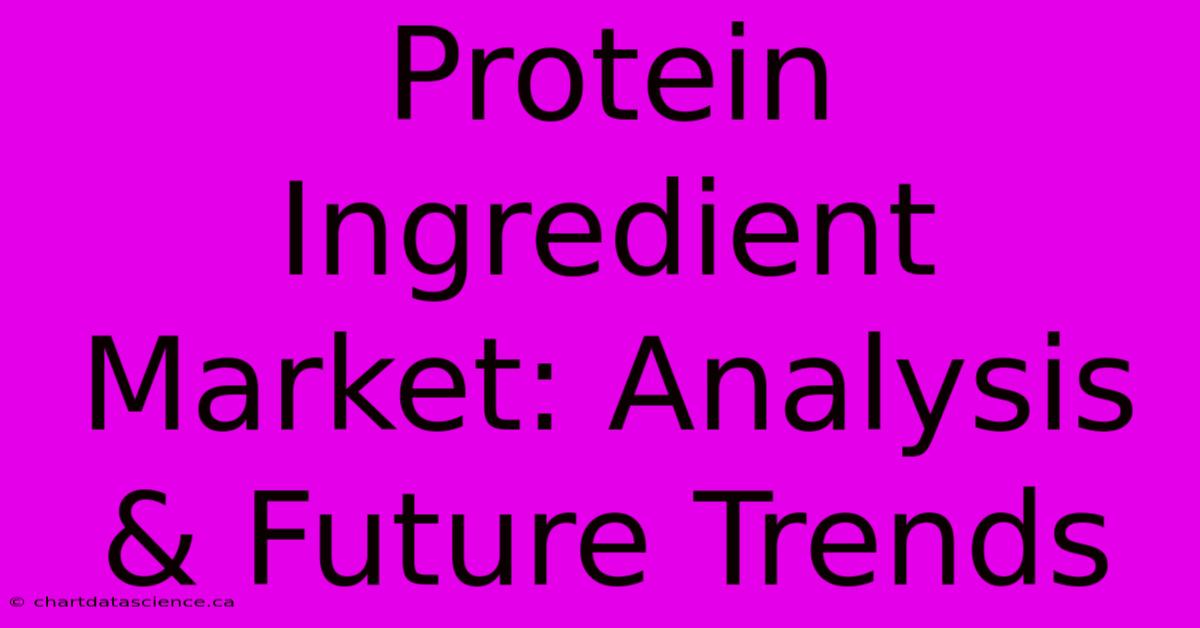 Protein Ingredient Market: Analysis & Future Trends