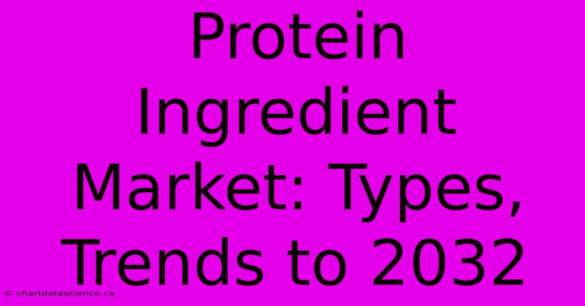 Protein Ingredient Market: Types, Trends To 2032