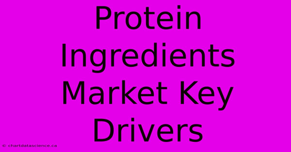 Protein Ingredients Market Key Drivers