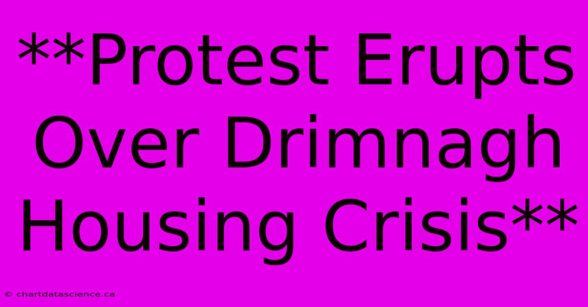 **Protest Erupts Over Drimnagh Housing Crisis** 