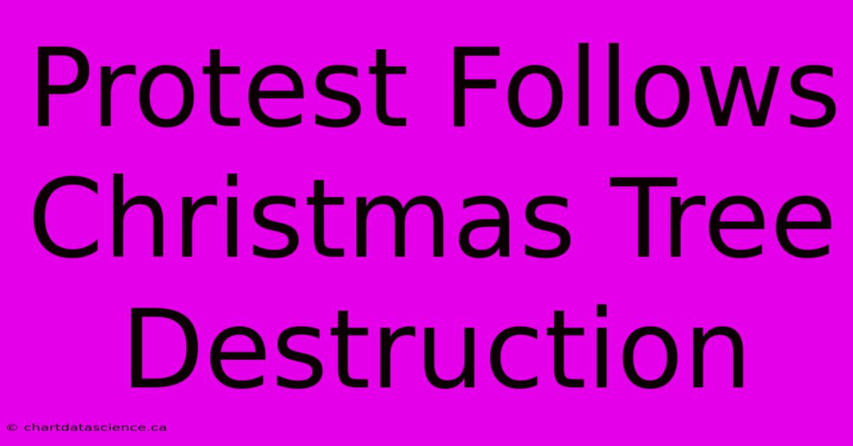 Protest Follows Christmas Tree Destruction