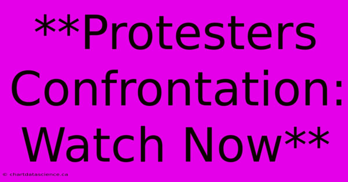 **Protesters Confrontation: Watch Now**