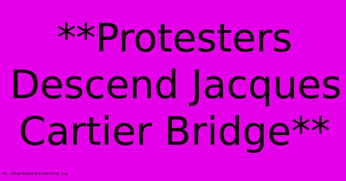 **Protesters Descend Jacques Cartier Bridge**