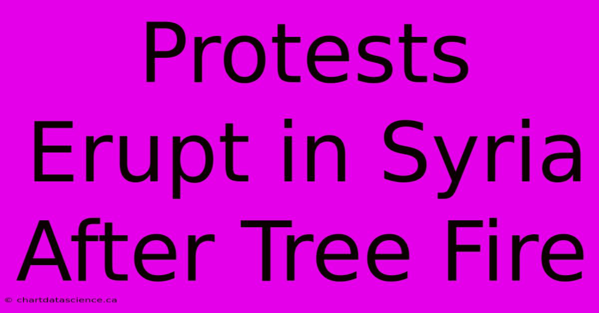 Protests Erupt In Syria After Tree Fire