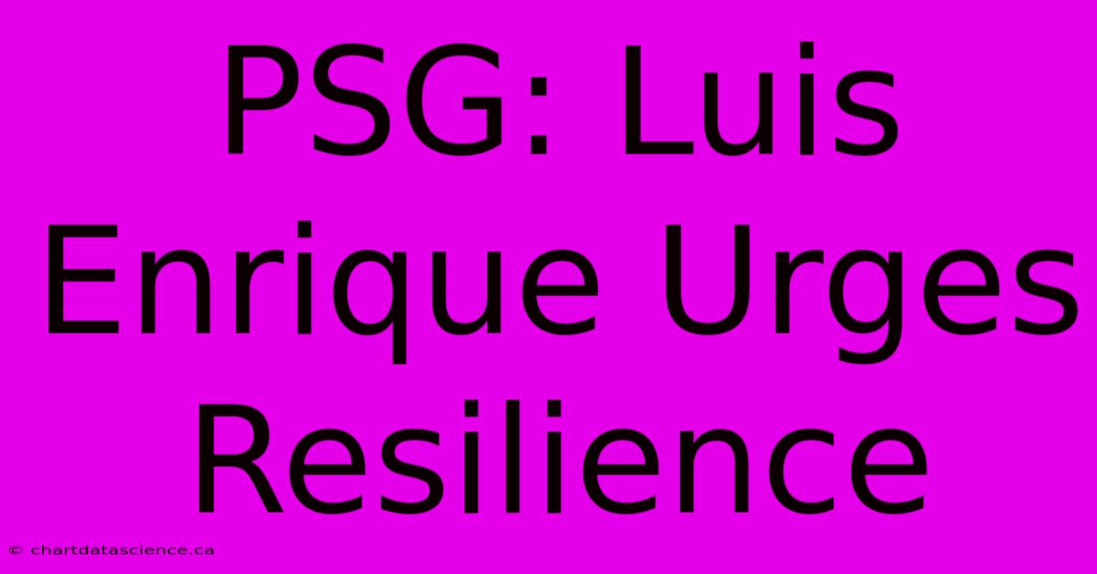 PSG: Luis Enrique Urges Resilience