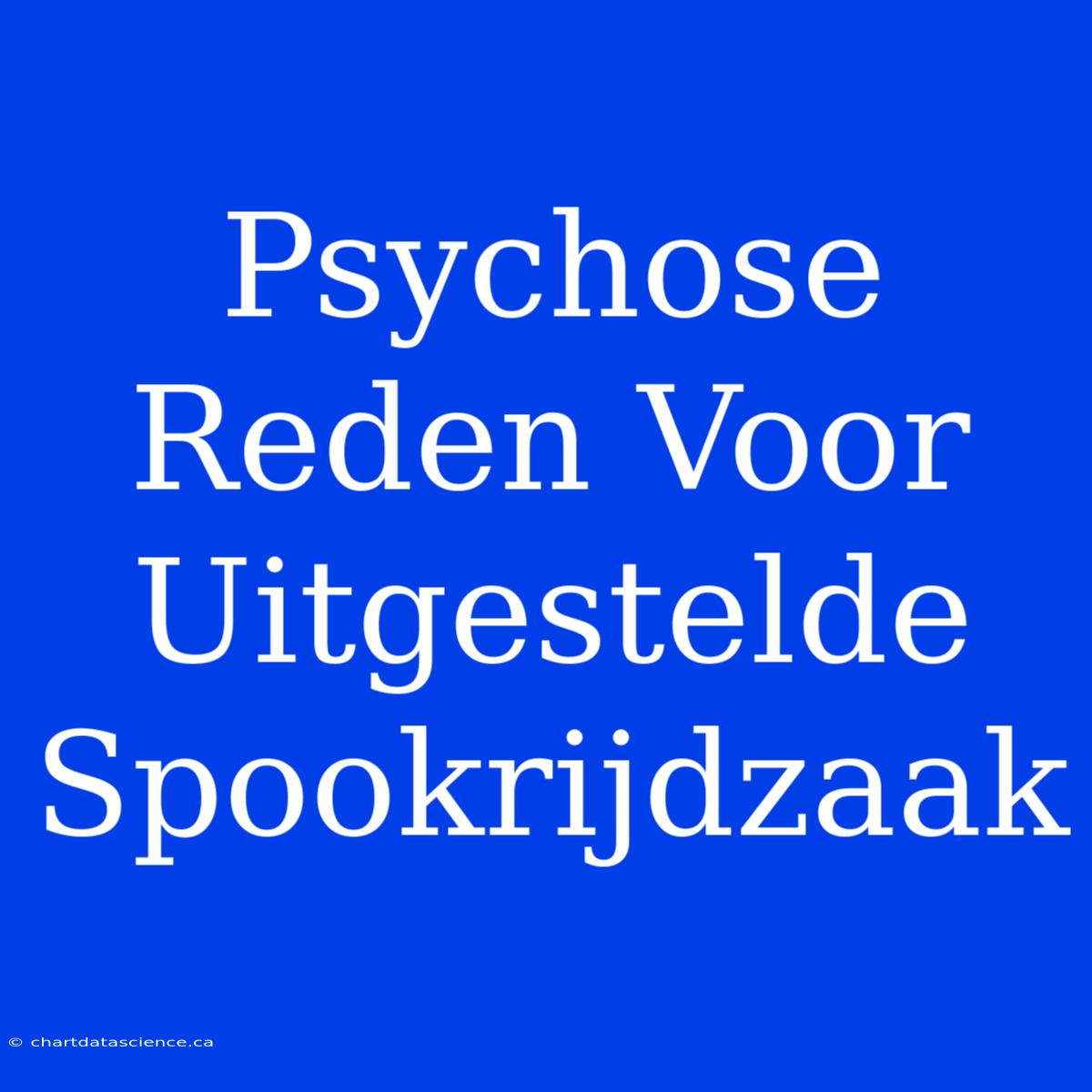 Psychose Reden Voor Uitgestelde Spookrijdzaak