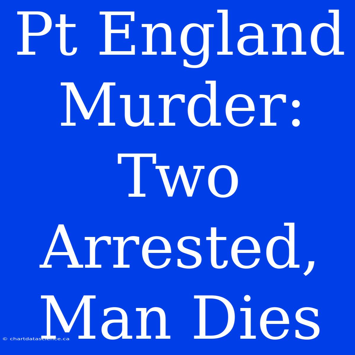 Pt England Murder: Two Arrested, Man Dies