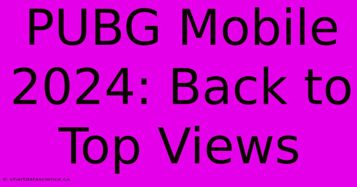 PUBG Mobile 2024: Back To Top Views