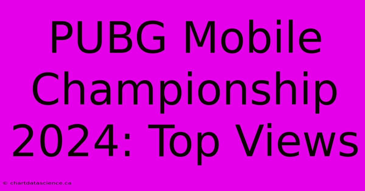 PUBG Mobile Championship 2024: Top Views