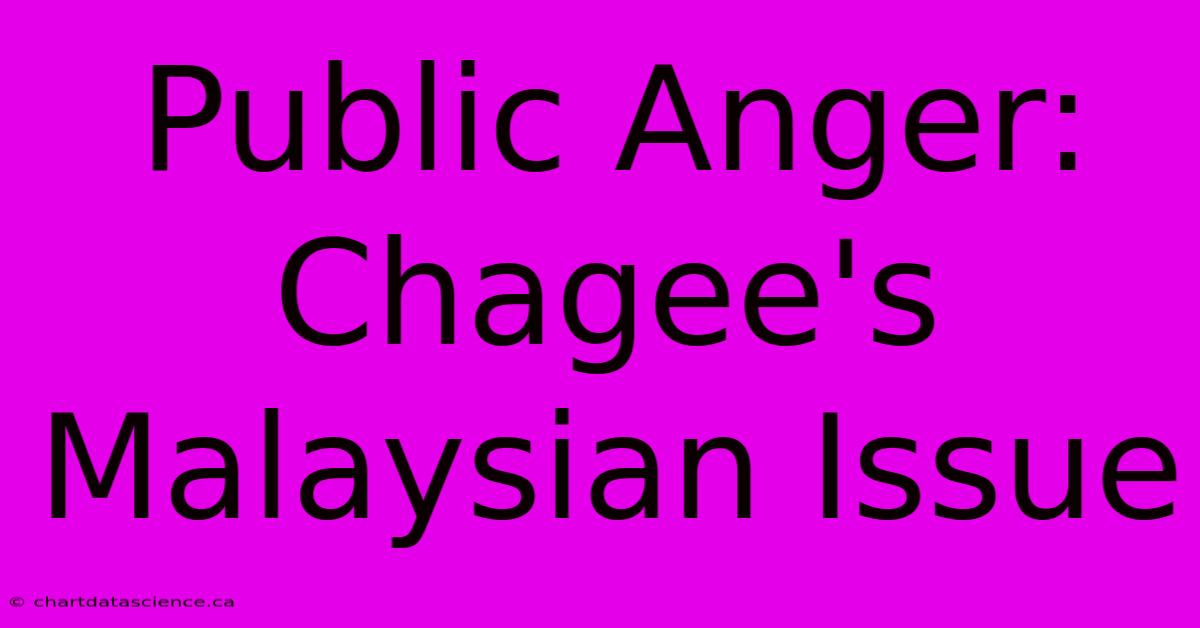 Public Anger: Chagee's Malaysian Issue