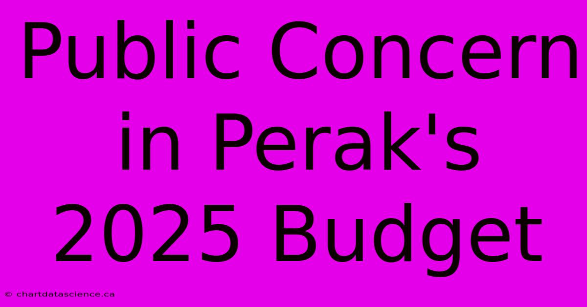 Public Concern In Perak's 2025 Budget