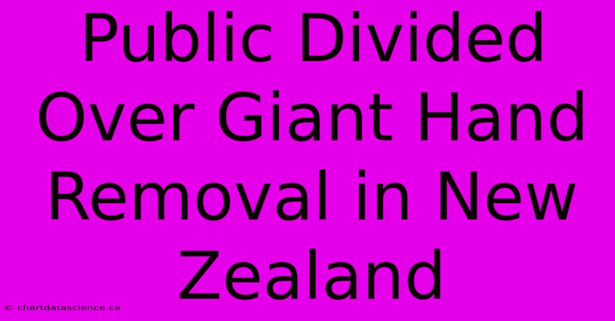 Public Divided Over Giant Hand Removal In New Zealand 