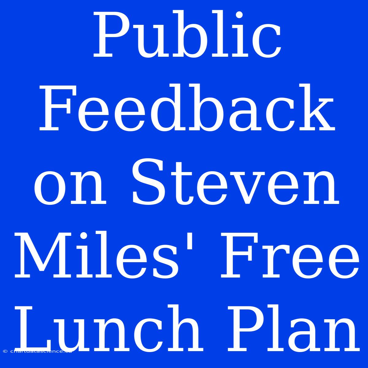 Public Feedback On Steven Miles' Free Lunch Plan