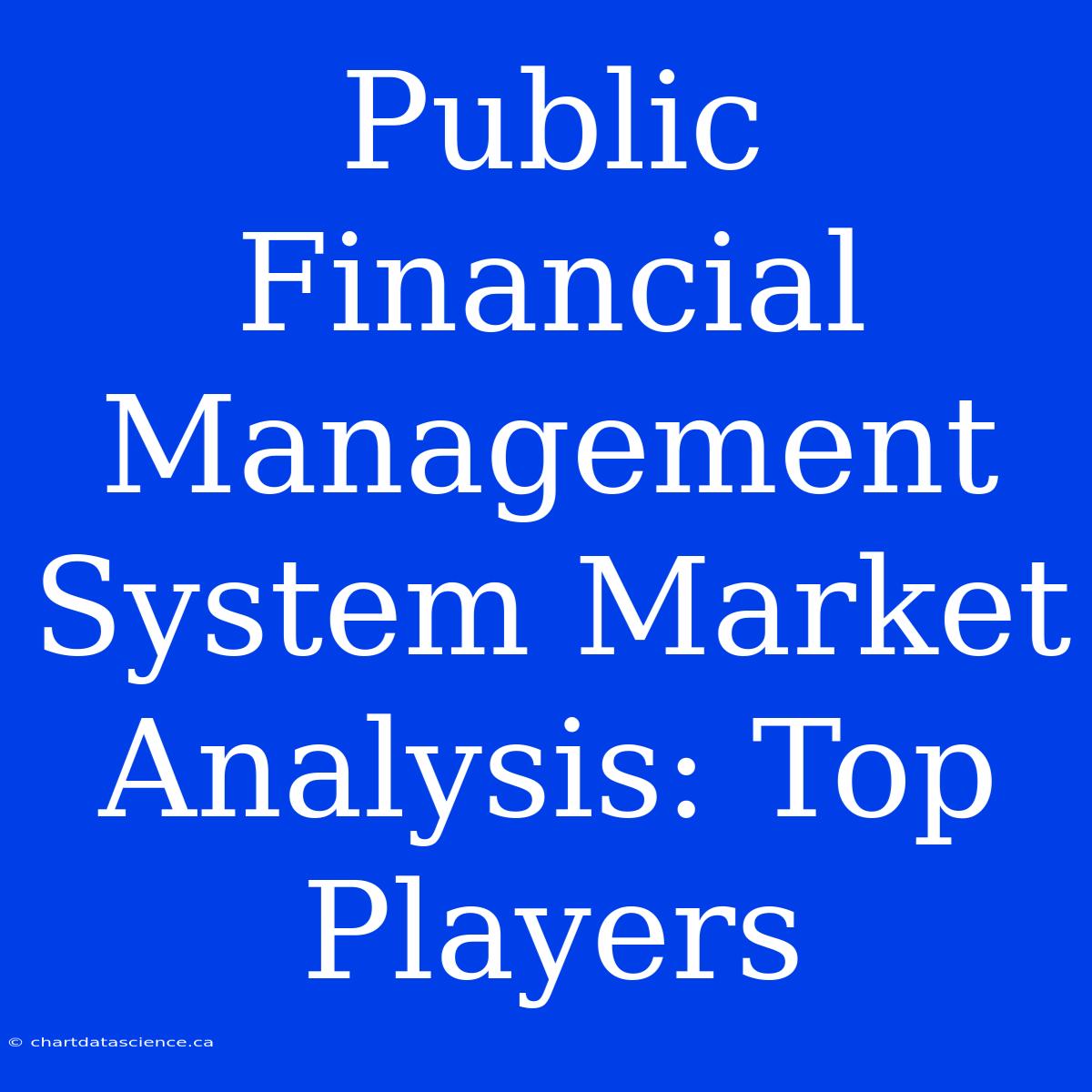 Public Financial Management System Market Analysis: Top Players