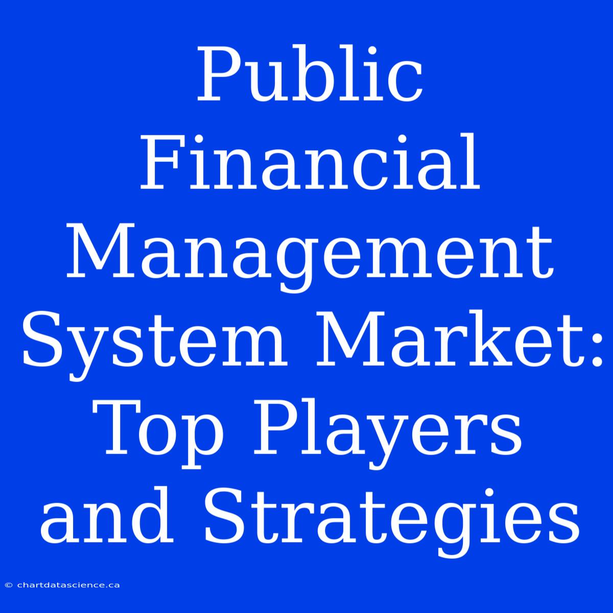 Public Financial Management System Market: Top Players And Strategies