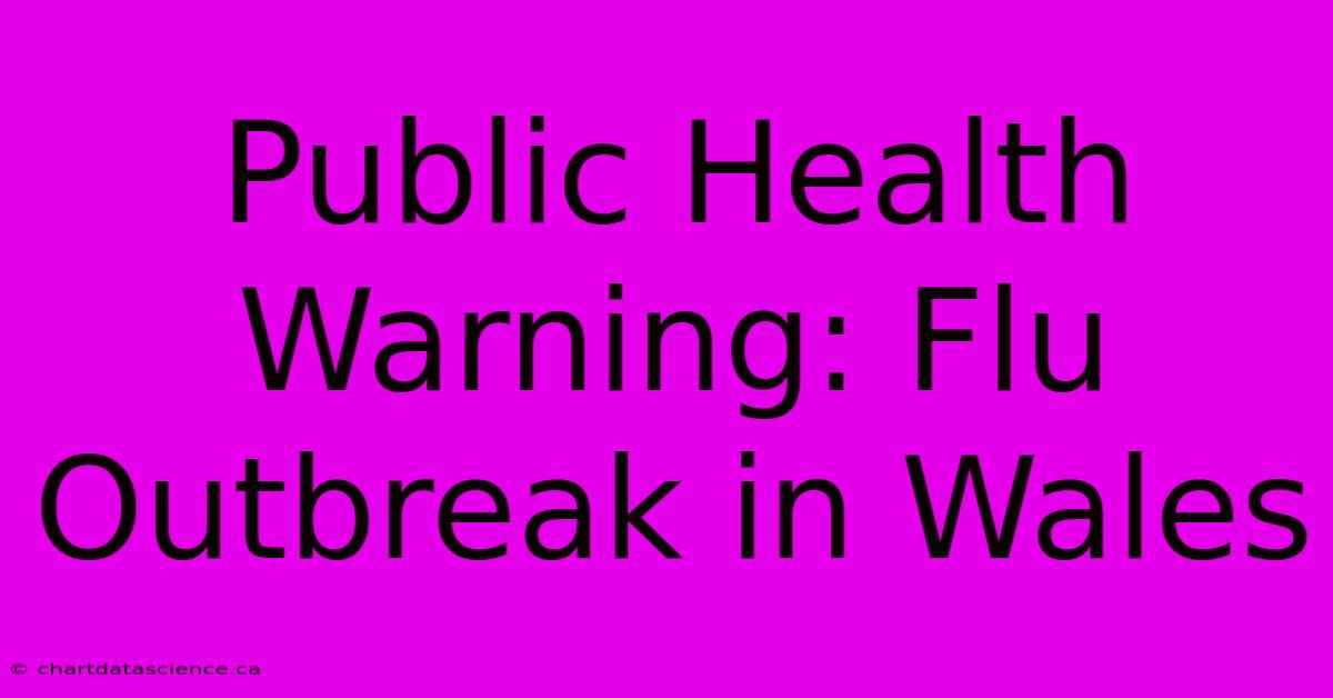 Public Health Warning: Flu Outbreak In Wales