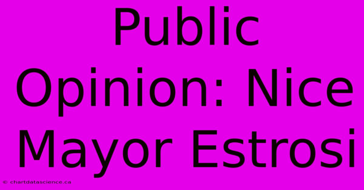 Public Opinion: Nice Mayor Estrosi