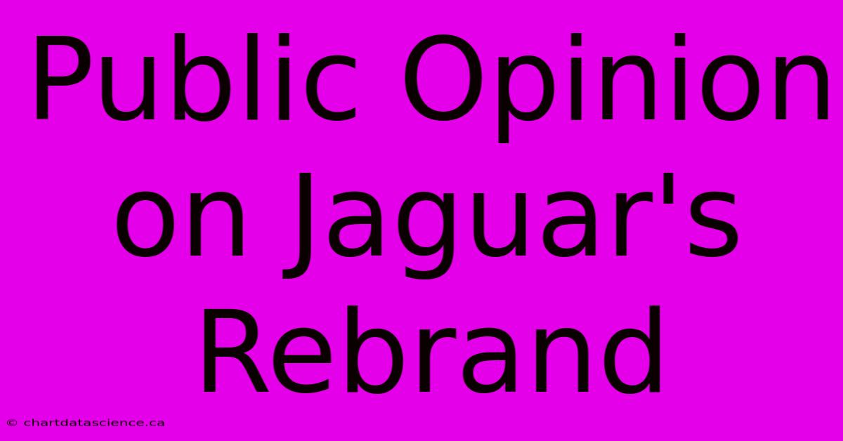 Public Opinion On Jaguar's Rebrand