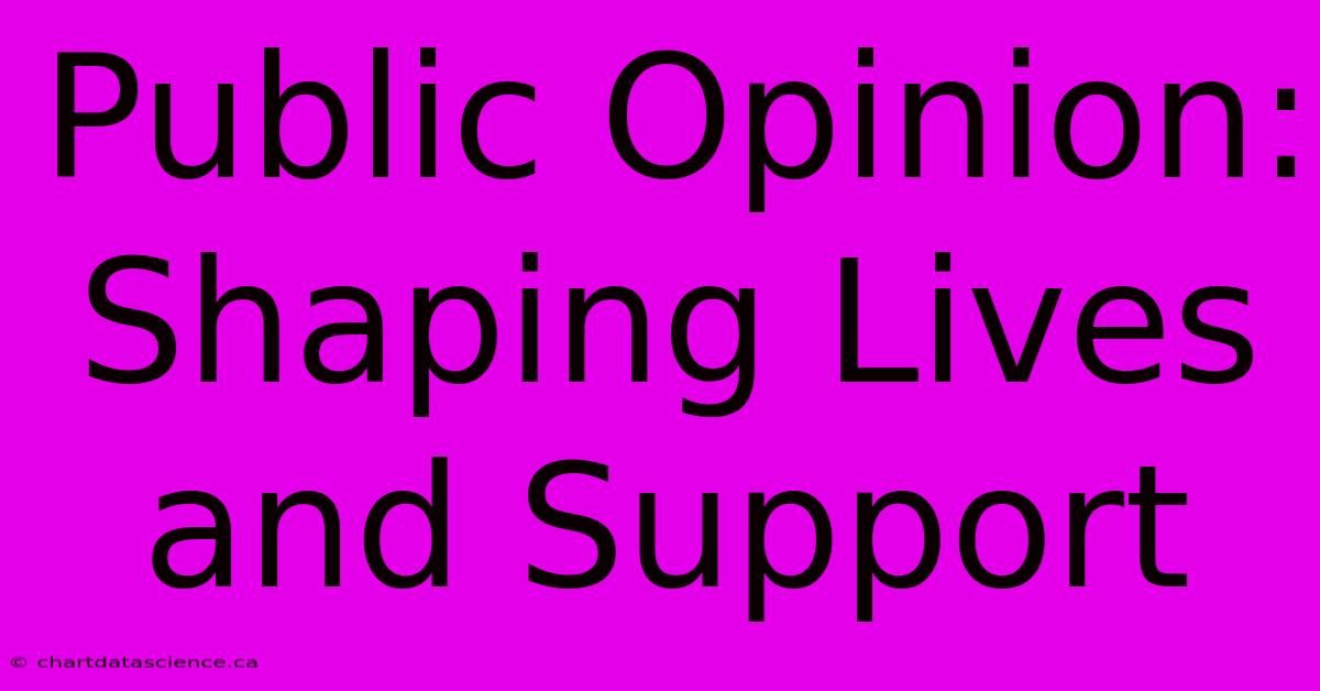 Public Opinion: Shaping Lives And Support 