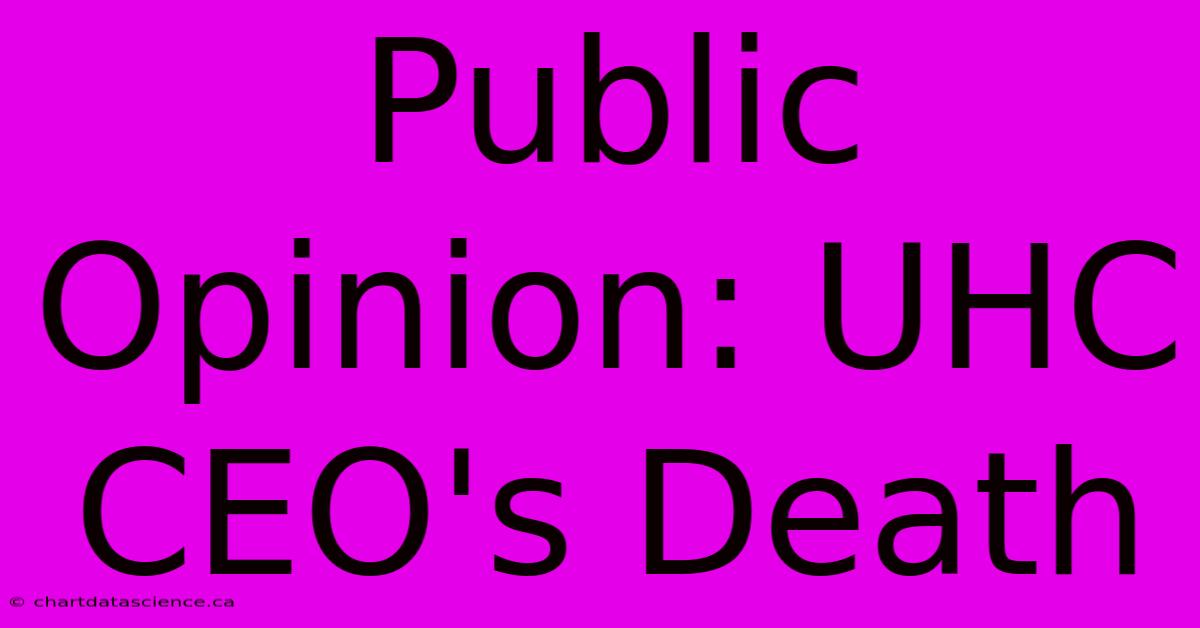 Public Opinion: UHC CEO's Death