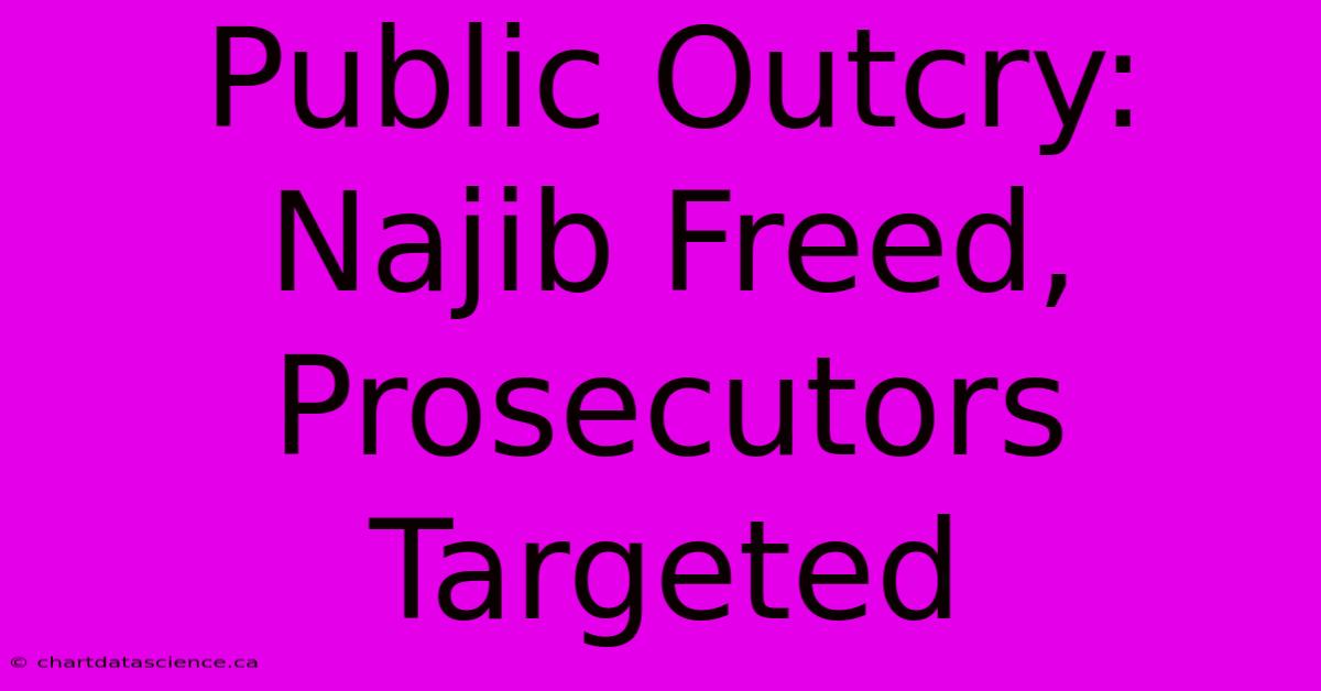 Public Outcry: Najib Freed, Prosecutors Targeted