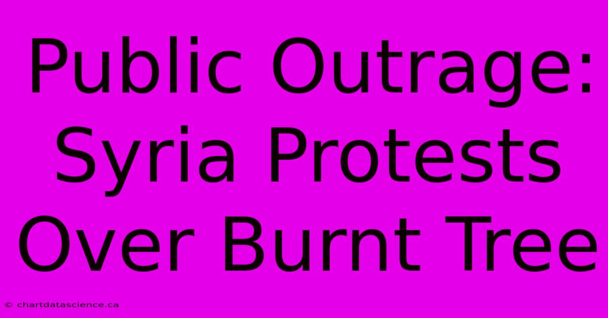 Public Outrage: Syria Protests Over Burnt Tree