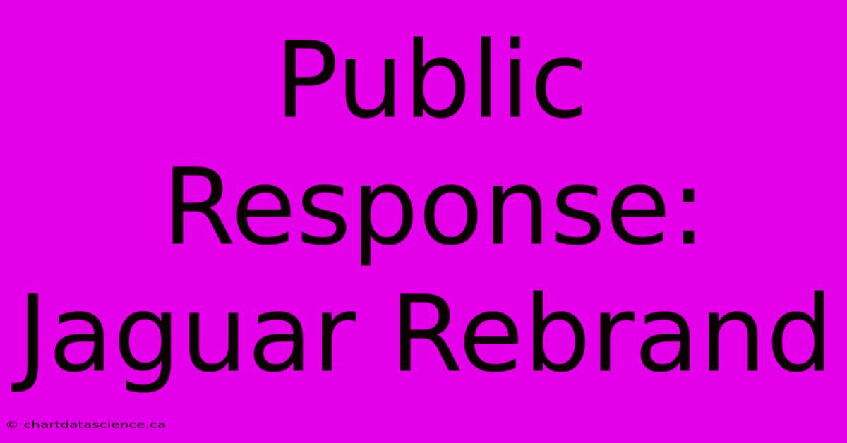 Public Response: Jaguar Rebrand