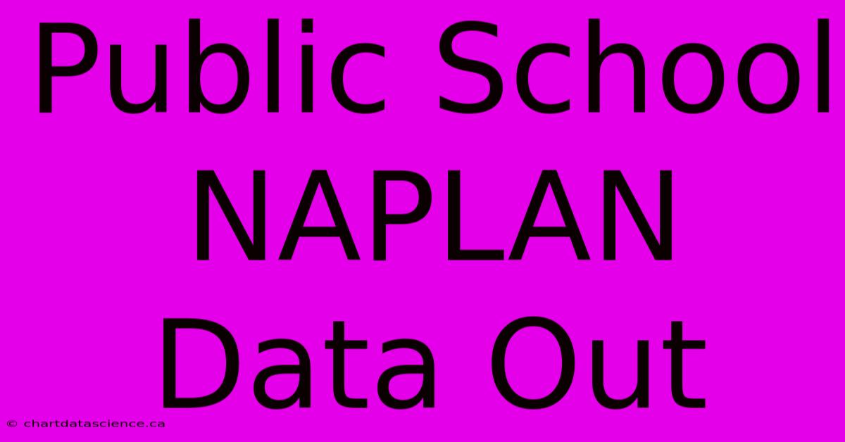 Public School NAPLAN Data Out