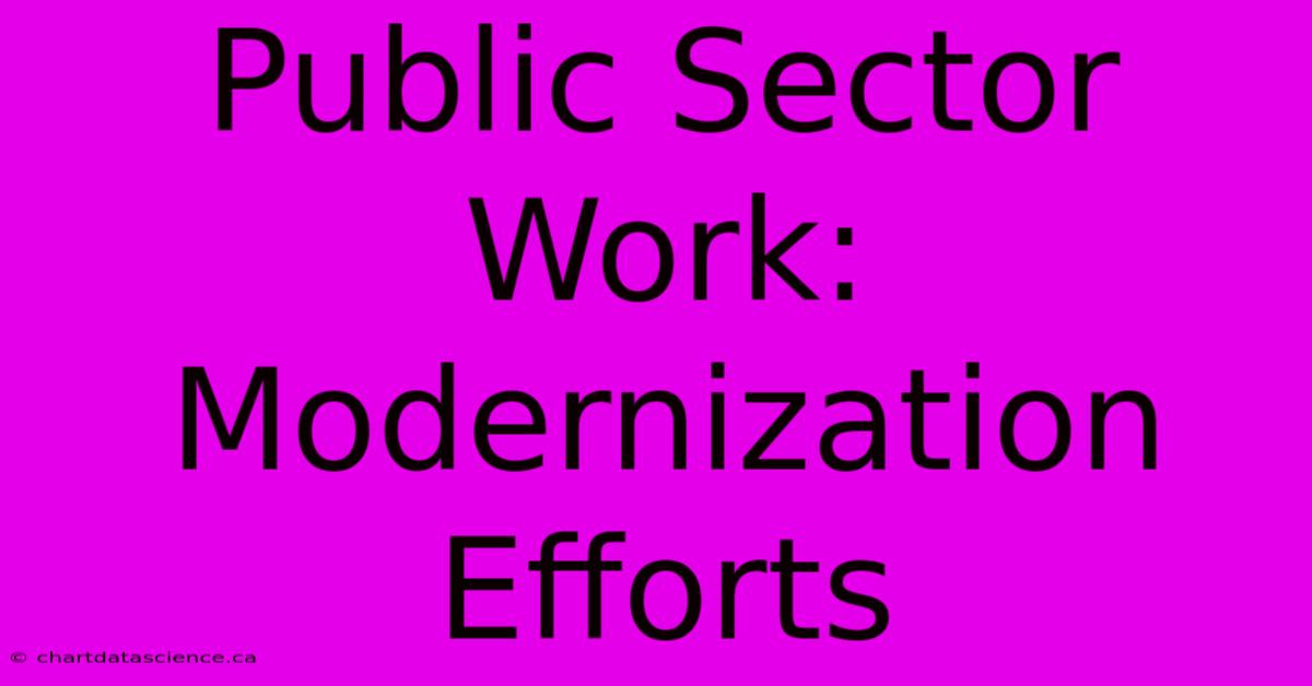 Public Sector Work: Modernization Efforts