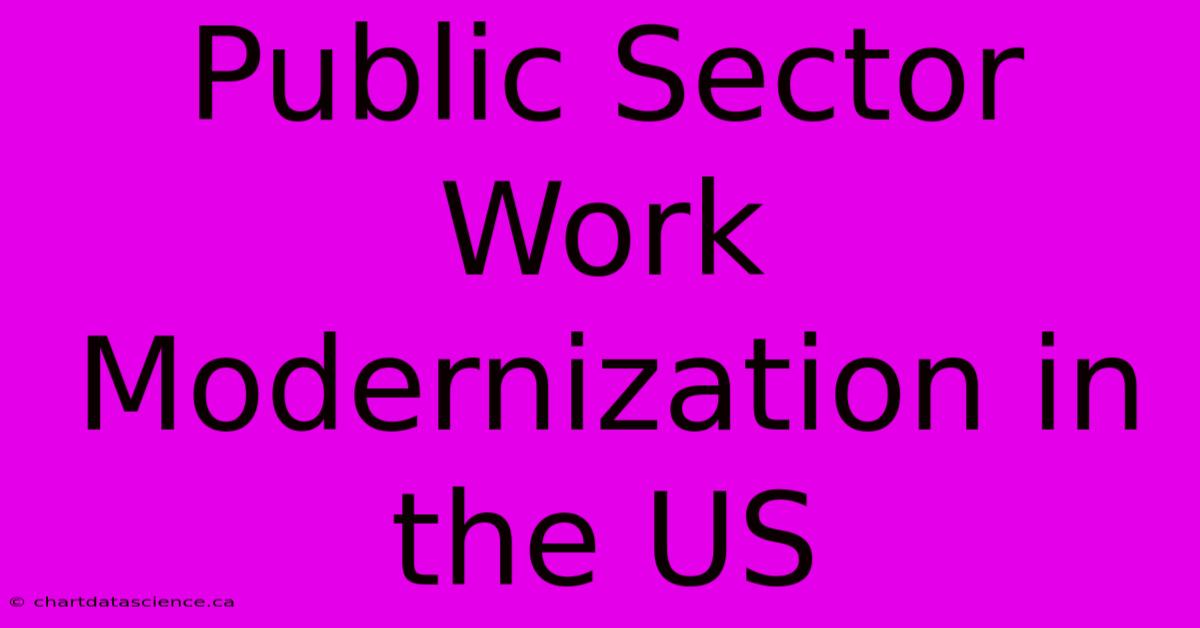 Public Sector Work Modernization In The US