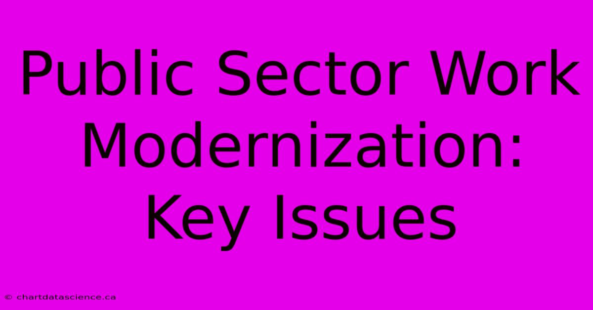 Public Sector Work Modernization: Key Issues