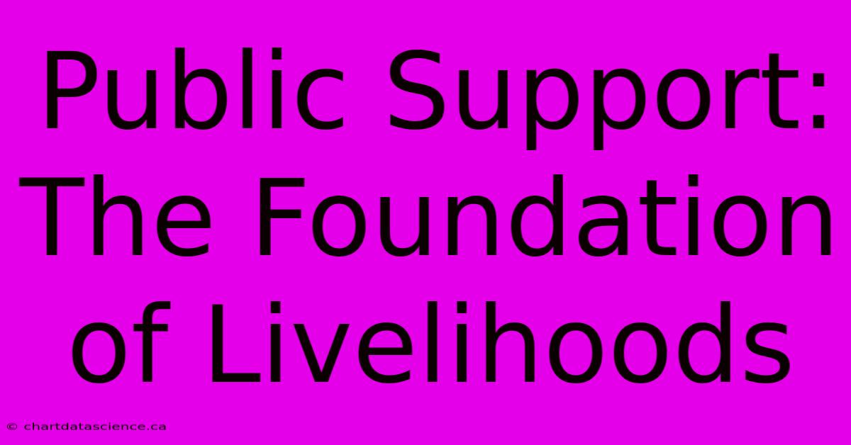 Public Support:  The Foundation Of Livelihoods