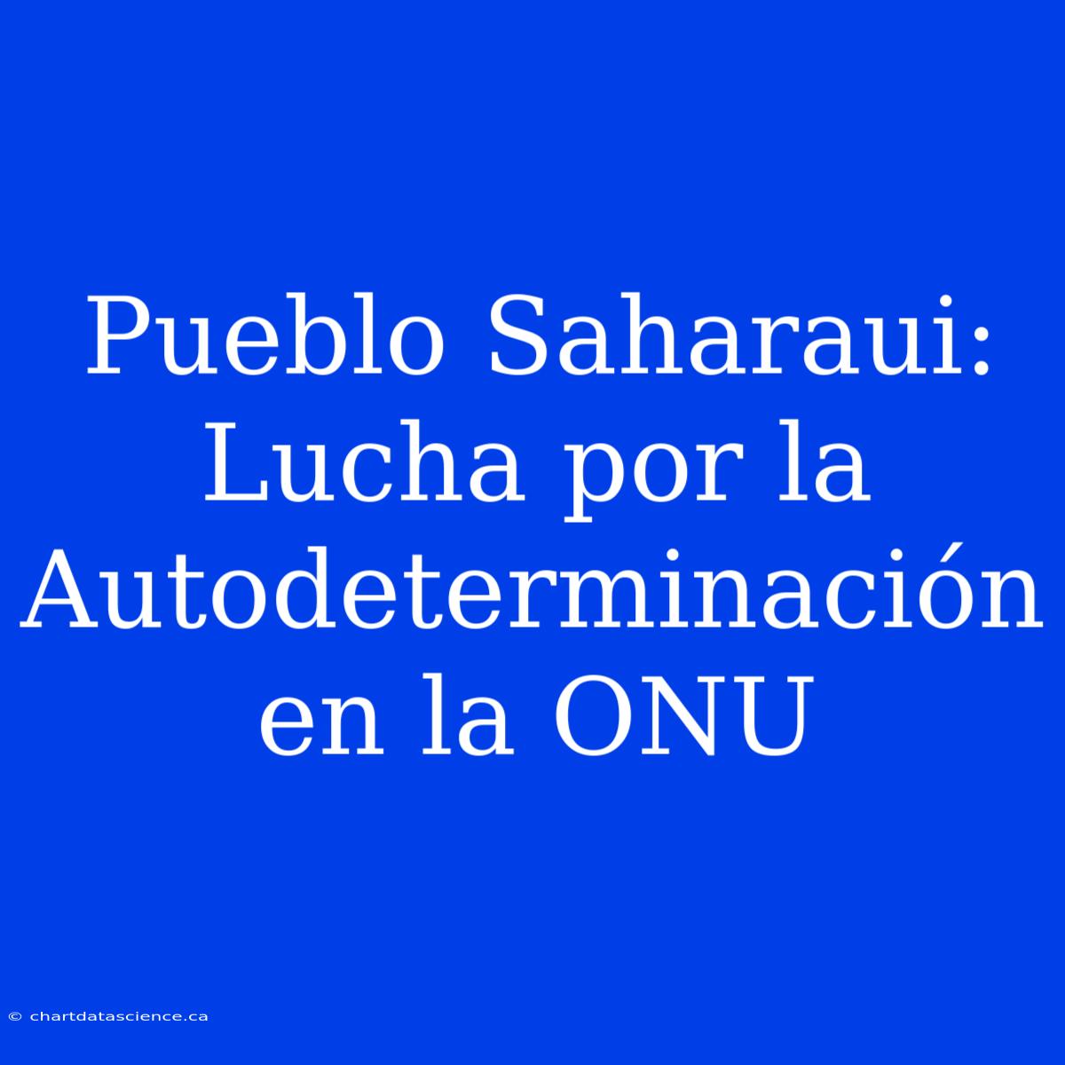 Pueblo Saharaui: Lucha Por La Autodeterminación En La ONU