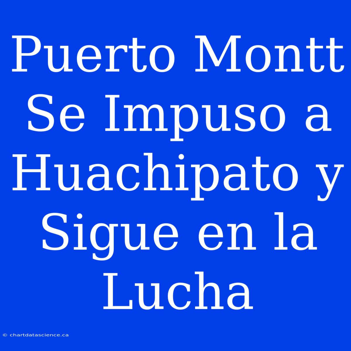 Puerto Montt Se Impuso A Huachipato Y Sigue En La Lucha