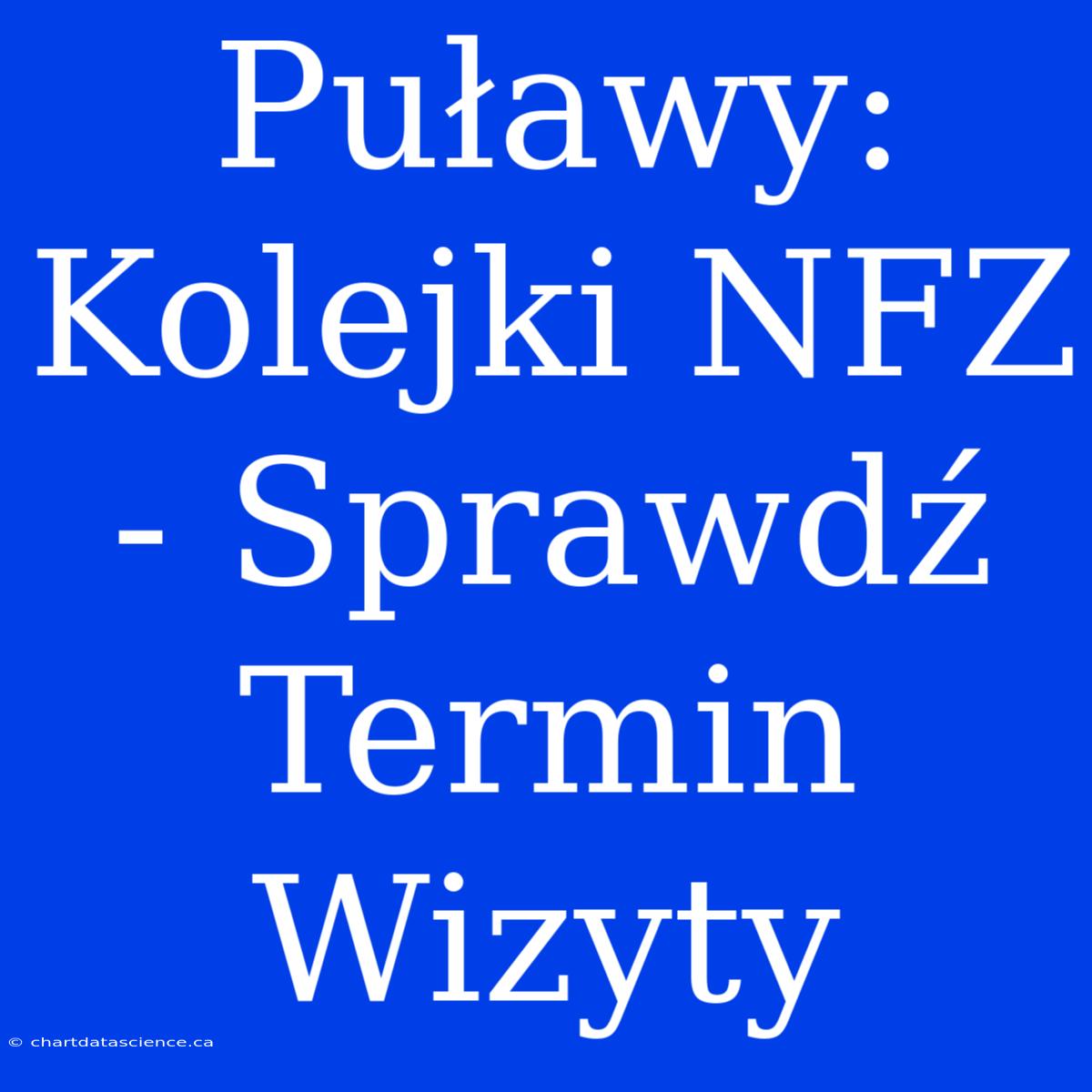 Puławy: Kolejki NFZ - Sprawdź Termin Wizyty