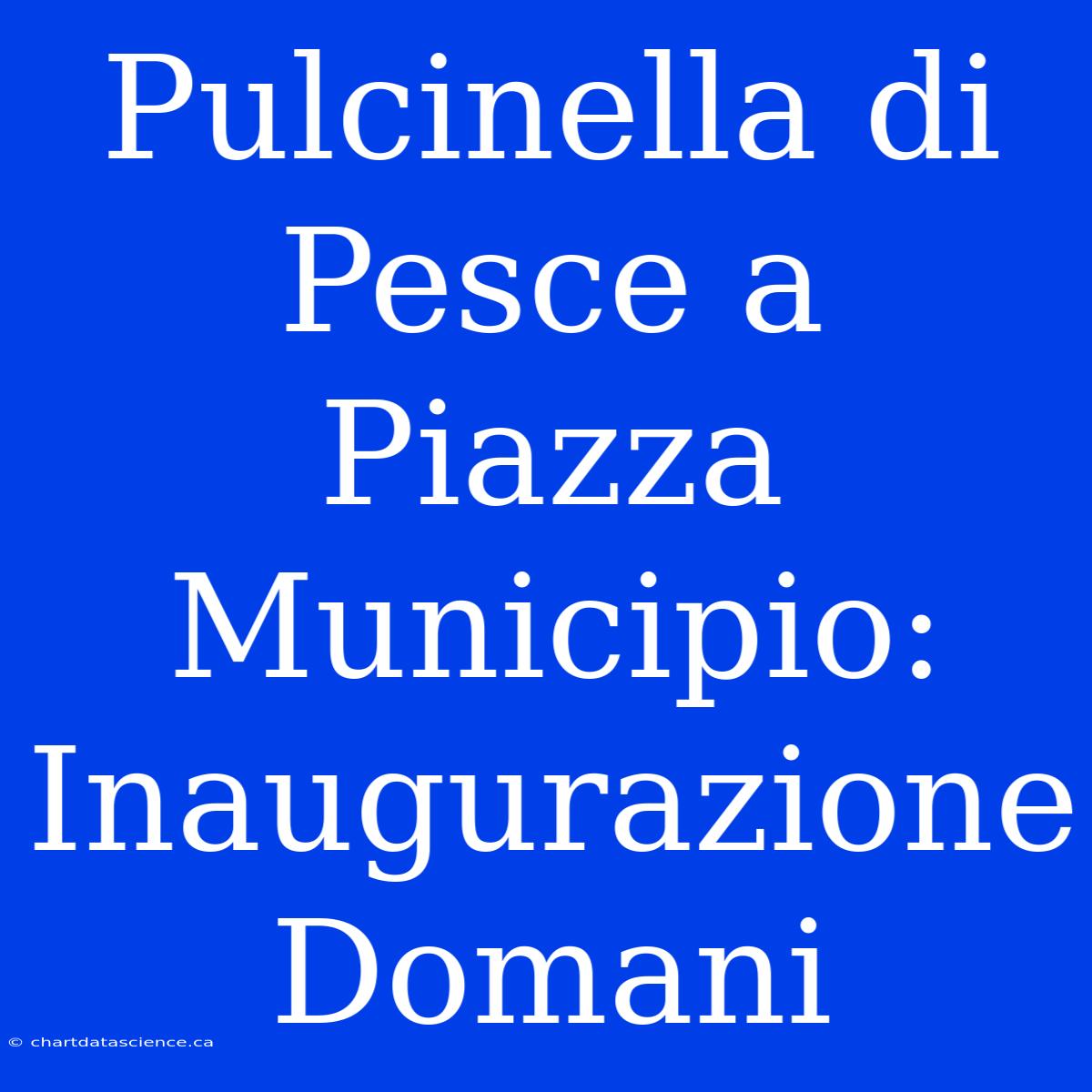 Pulcinella Di Pesce A Piazza Municipio: Inaugurazione Domani