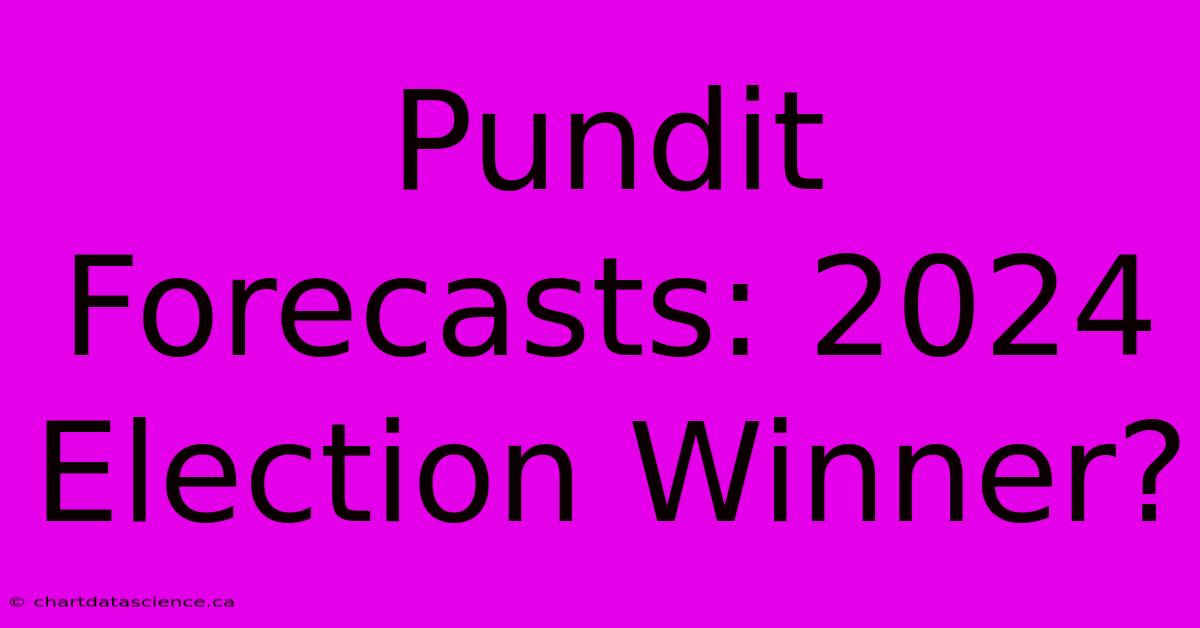 Pundit Forecasts: 2024 Election Winner?