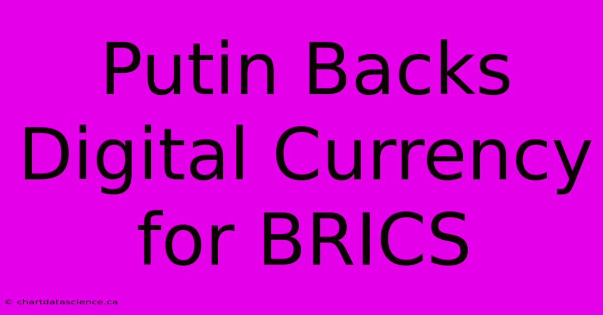 Putin Backs Digital Currency For BRICS