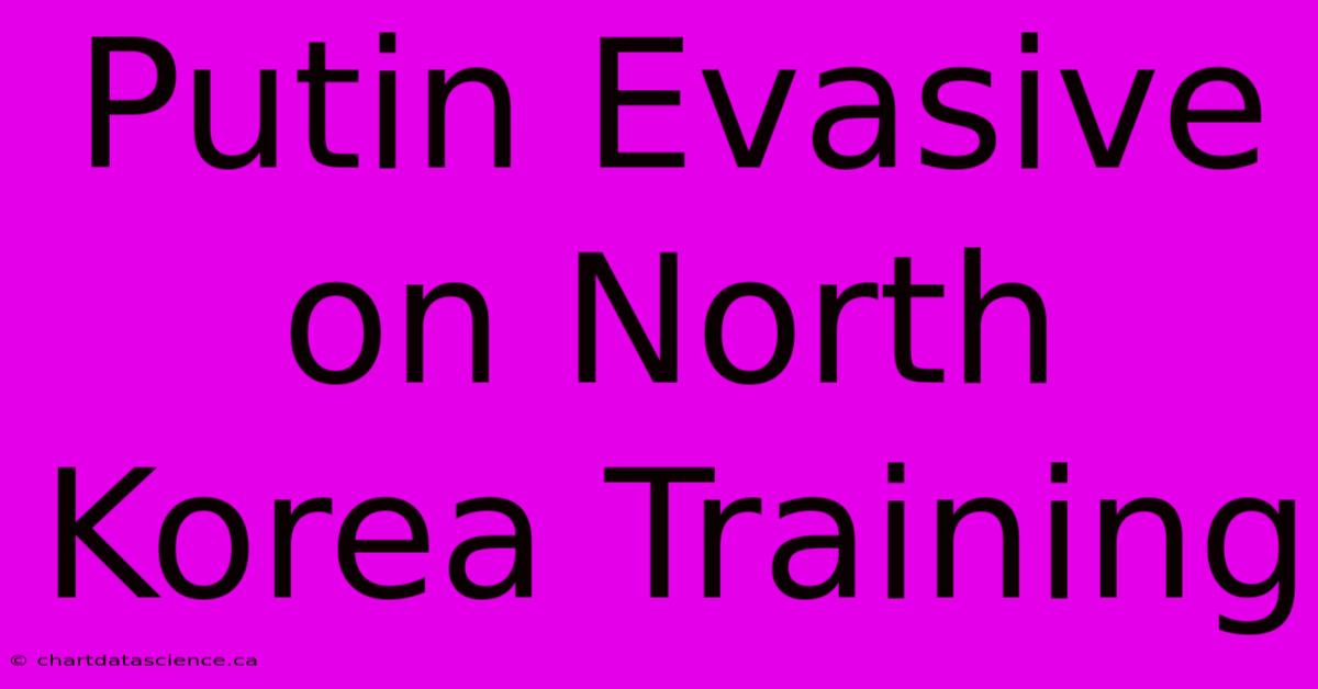 Putin Evasive On North Korea Training