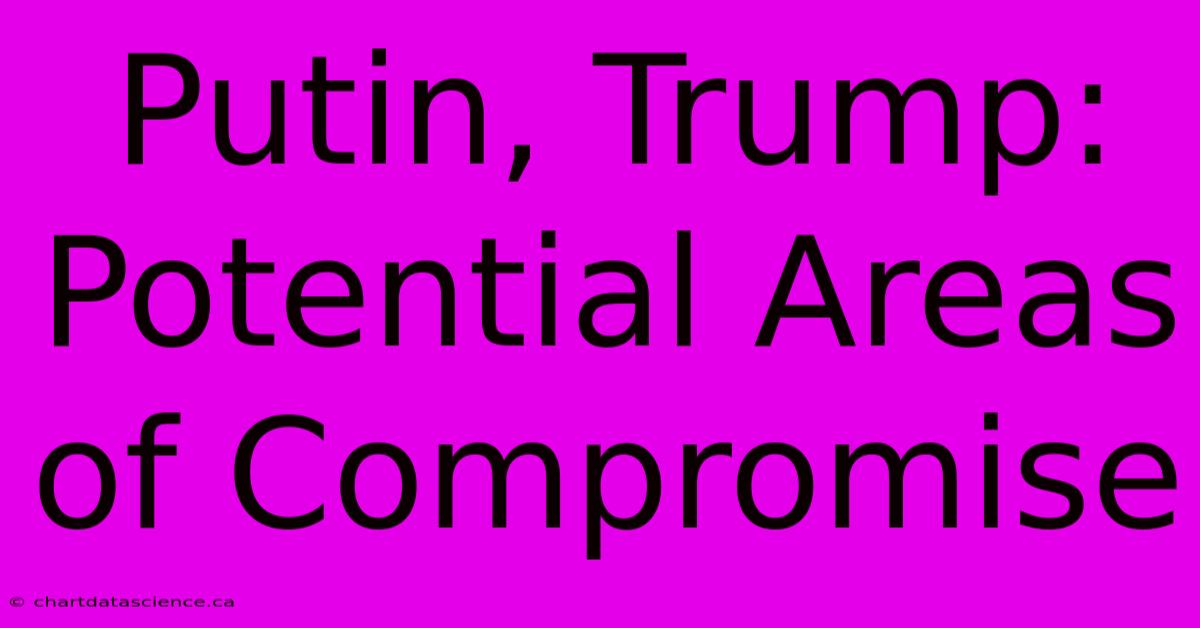 Putin, Trump: Potential Areas Of Compromise