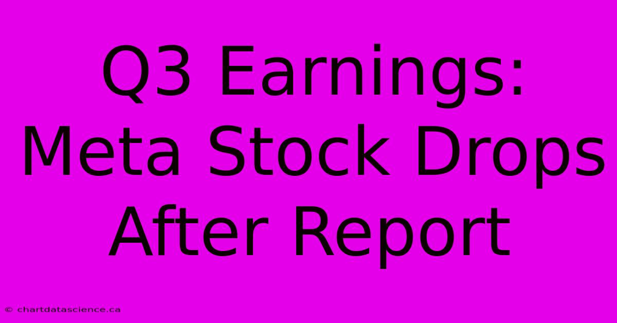 Q3 Earnings: Meta Stock Drops After Report