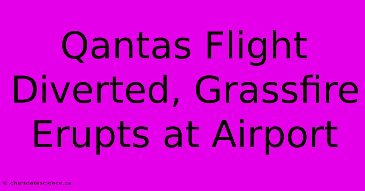 Qantas Flight Diverted, Grassfire Erupts At Airport 