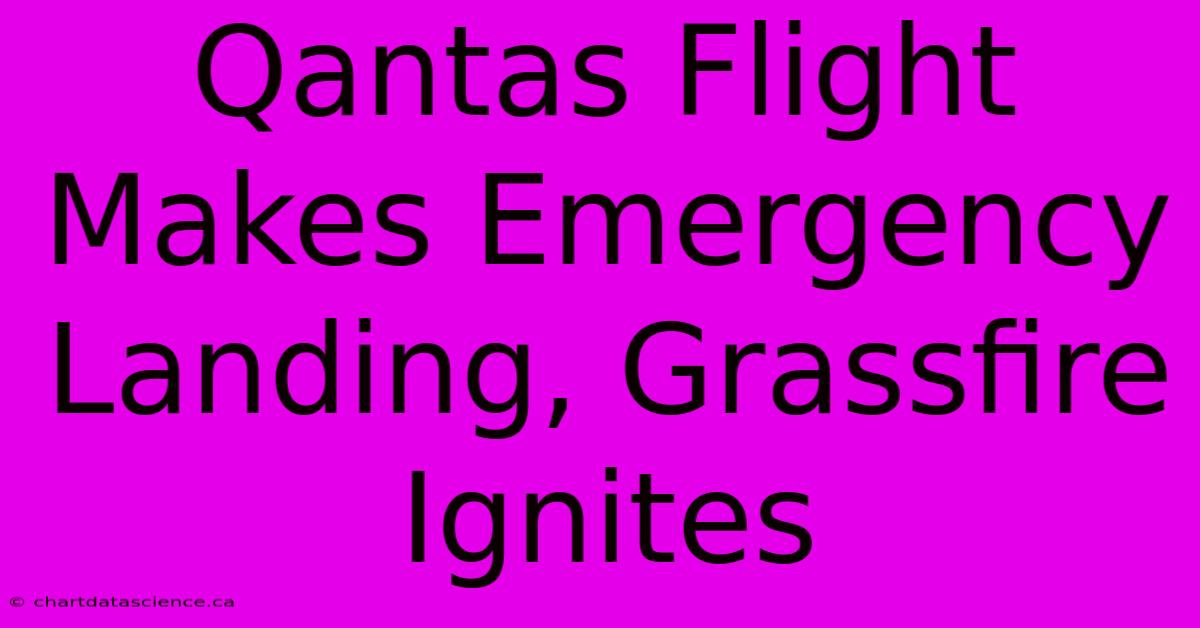 Qantas Flight Makes Emergency Landing, Grassfire Ignites